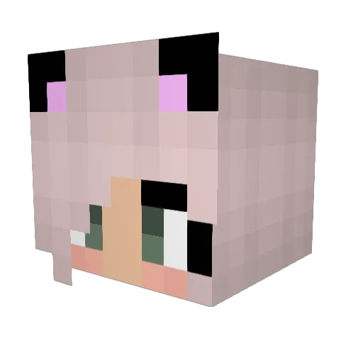 Bottomness Minecraft avatar head, 3D render