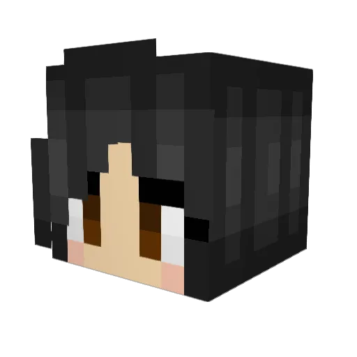 Bottomphobic Minecraft avatar head, 3D render