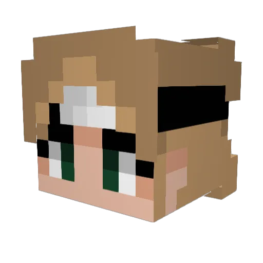 Boty00 Minecraft avatar head, 3D render