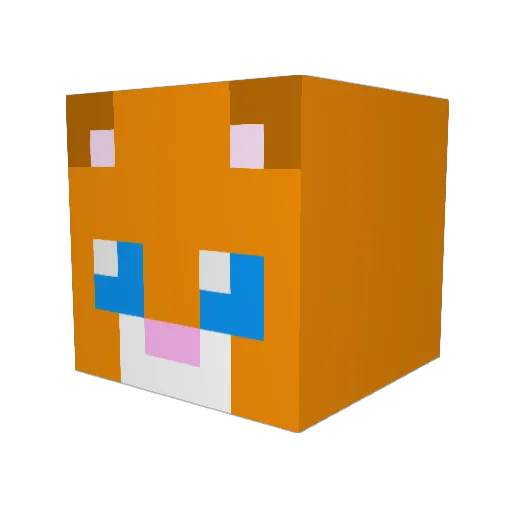 Boub1 Minecraft avatar head, 3D render