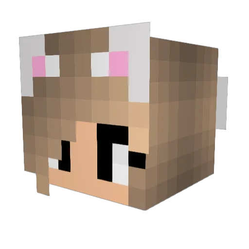 Boubman Minecraft avatar head, 3D render