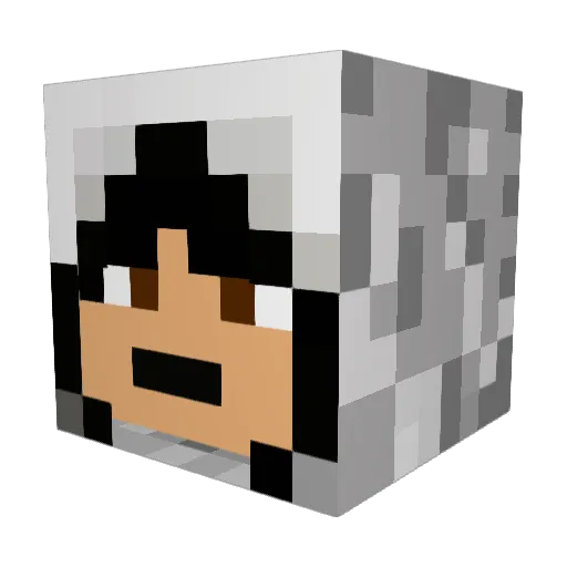 Bouddhin Minecraft avatar head, 3D render