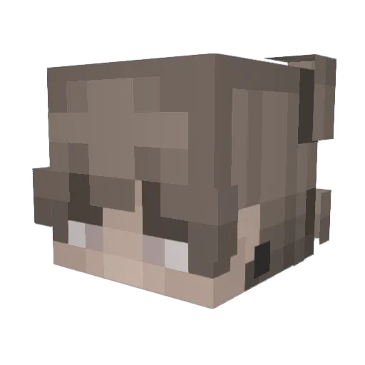 BoudyYT Minecraft avatar head, 3D render