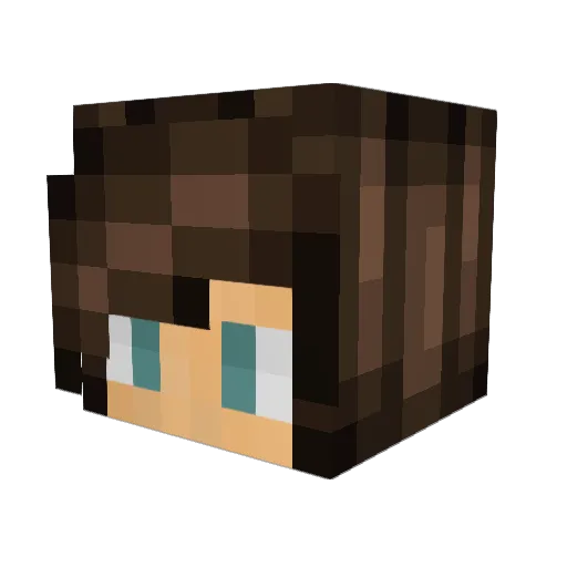 Boufficrotte Minecraft avatar head, 3D render