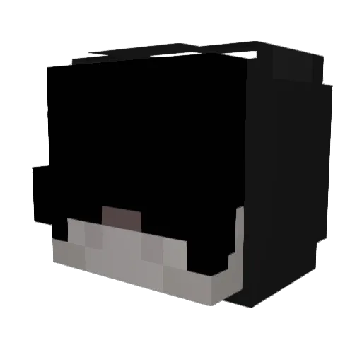 Bought2Win Minecraft avatar head, 3D render