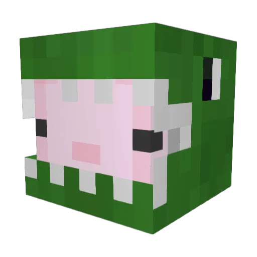 Bouill Minecraft avatar head, 3D render