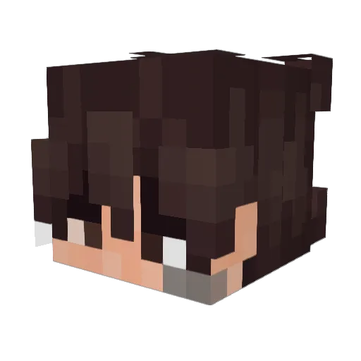 Boulou Minecraft avatar head, 3D render