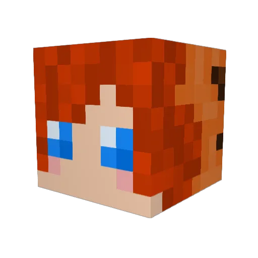Bouncerific Minecraft avatar head, 3D render
