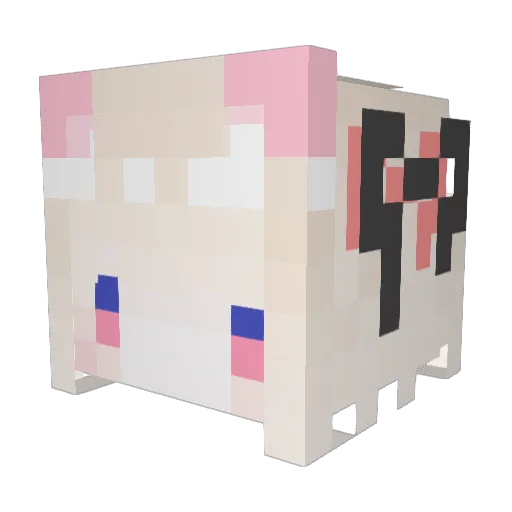 BouncyWolf102 Minecraft avatar head, 3D render