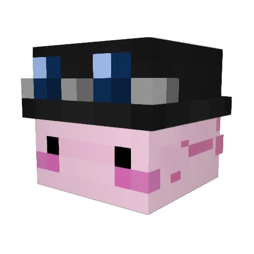 Bouncy_MC Minecraft avatar head, 3D render
