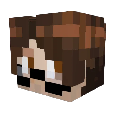 Bouncy_Sloth Minecraft avatar head, 3D render