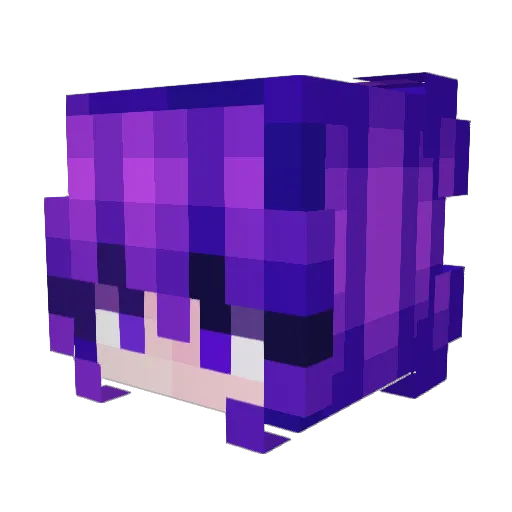 BoundelBoi Minecraft avatar head, 3D render