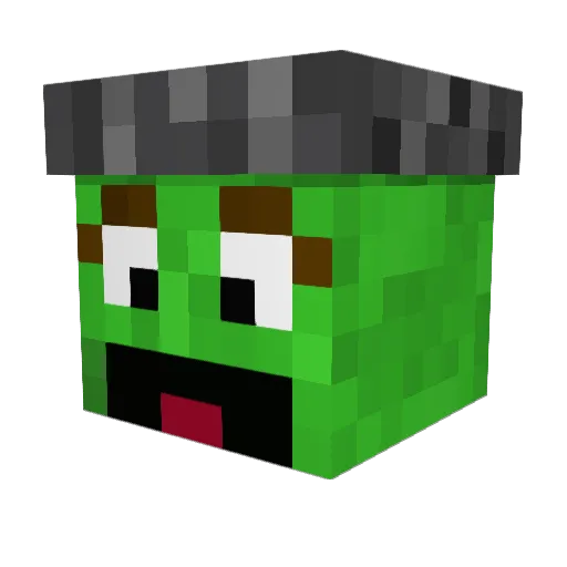 Bounscii Minecraft avatar head, 3D render