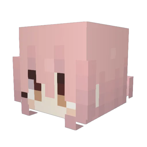 BountyHunter9572 Minecraft avatar head, 3D render
