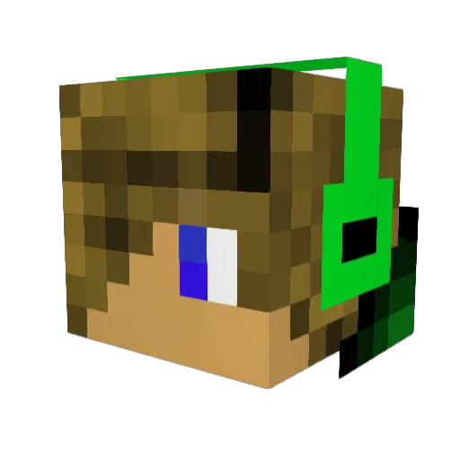 BourbonPanda Minecraft avatar head, 3D render