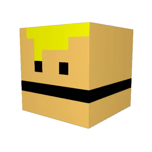 Bourden Minecraft avatar head, 3D render