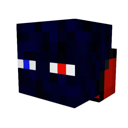Bourenn Minecraft avatar head, 3D render