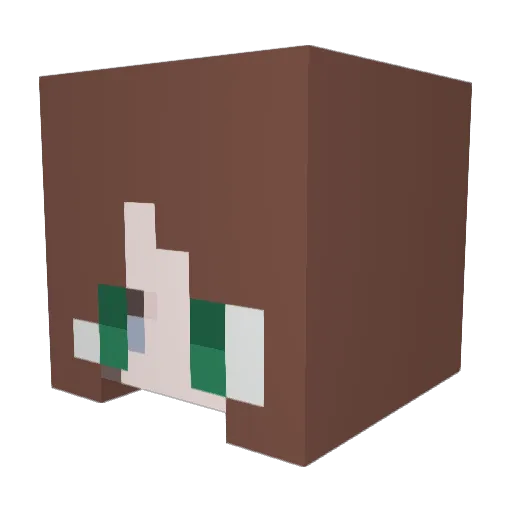 Bourne2BeWild13 Minecraft avatar head, 3D render