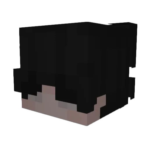 Bourrn Minecraft avatar head, 3D render