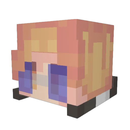 Bourtoise Minecraft avatar head, 3D render