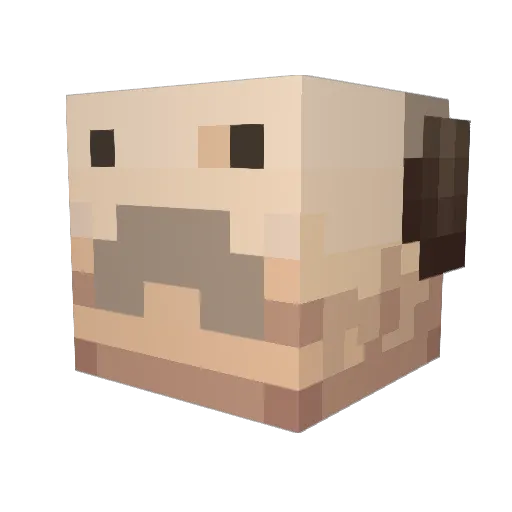 Bouwer06 Minecraft avatar head, 3D render