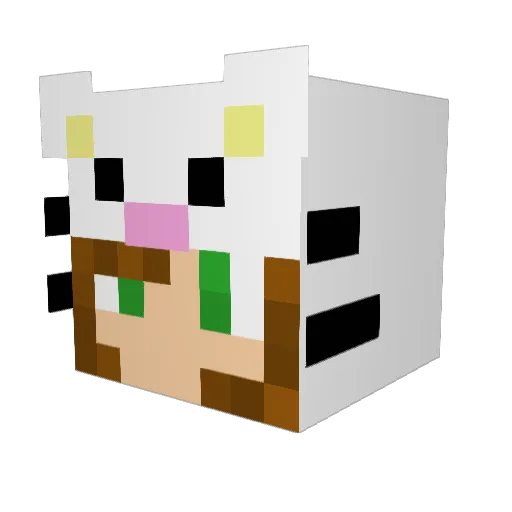 Bouwman69 Minecraft avatar head, 3D render
