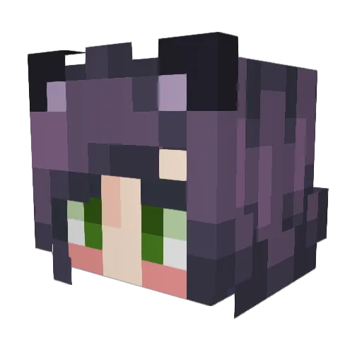 Bovieee Minecraft avatar head, 3D render