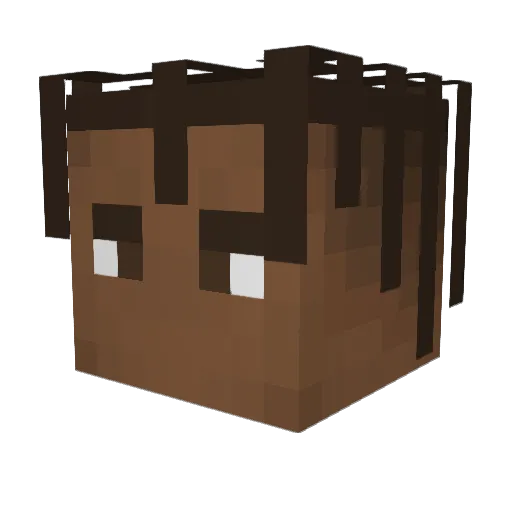 BowDownToMe__ Minecraft avatar head, 3D render