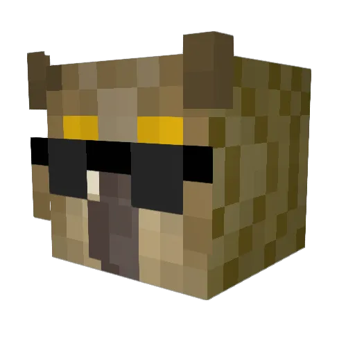 BowHunterBR Minecraft avatar head, 3D render
