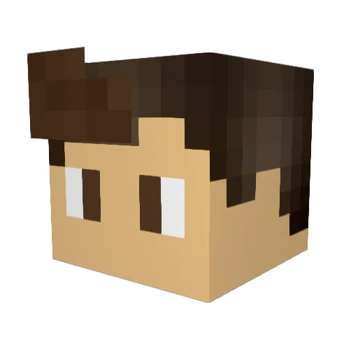 BowSkillExpertDE Minecraft avatar head, 3D render
