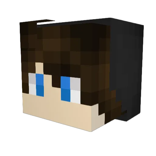 BowSp4m Minecraft avatar head, 3D render