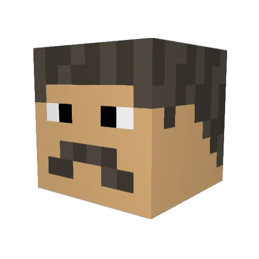 BowSpammerFR Minecraft avatar head, 3D render