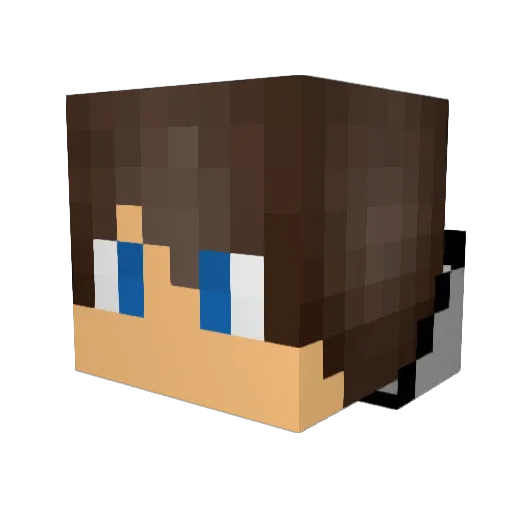 BowSpamming Minecraft avatar head, 3D render