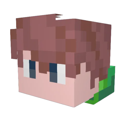 Bowa2007 Minecraft avatar head, 3D render