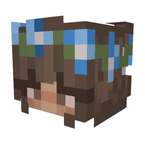 Bowbees Minecraft avatar head, 3D render
