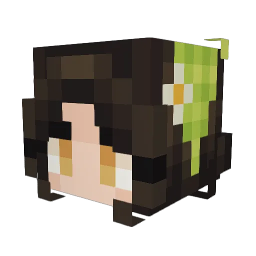 Bowbha Minecraft avatar head, 3D render