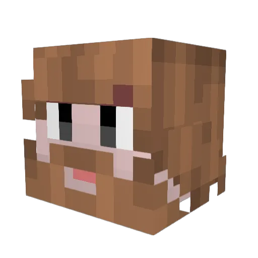 Bowbles Minecraft avatar head, 3D render