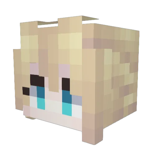 Bowen_Se Minecraft avatar head, 3D render