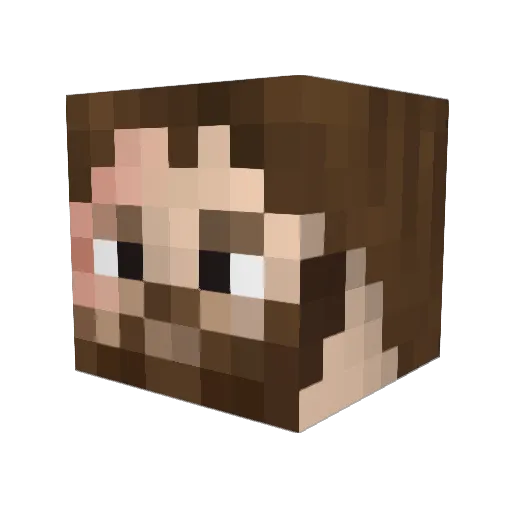 Bowester Minecraft avatar head, 3D render