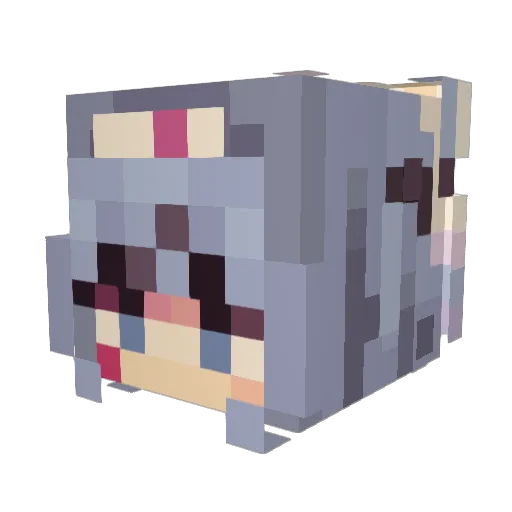 Bowfaire Minecraft avatar head, 3D render