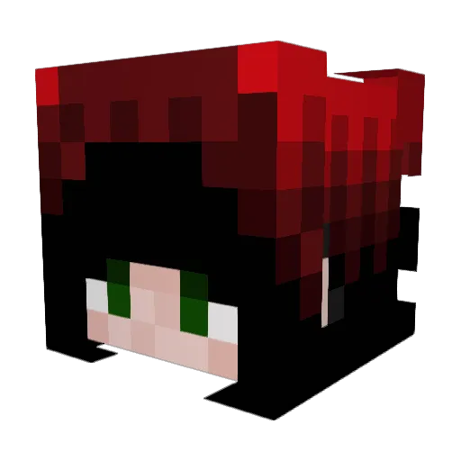 Bowlofsoup270 Minecraft avatar head, 3D render