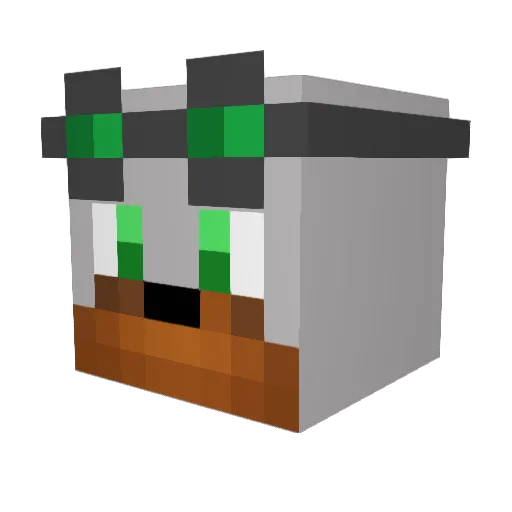 BowserBoy711 Minecraft avatar head, 3D render