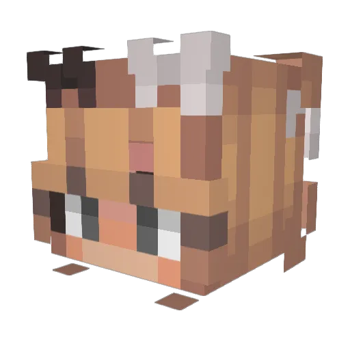 Bowsierosie Minecraft avatar head, 3D render