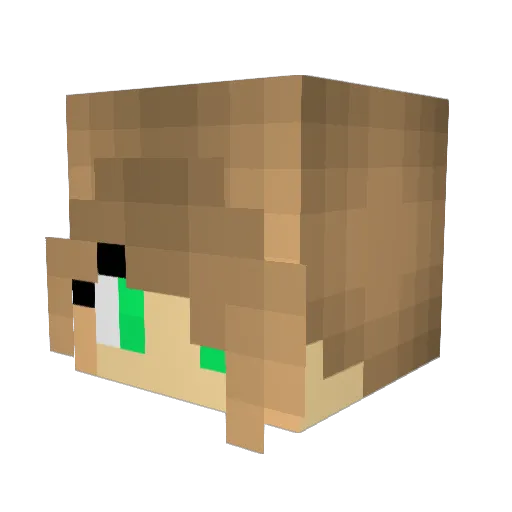 Bowzer3 Minecraft avatar head, 3D render