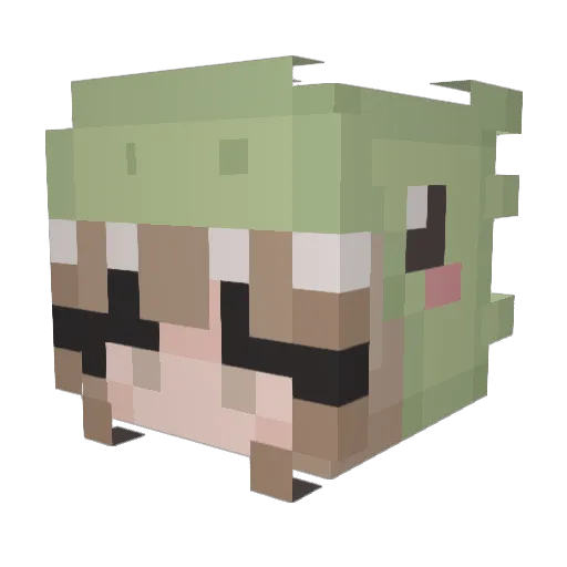 BoxKitten10 Minecraft avatar head, 3D render