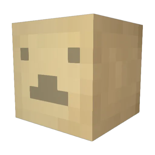 BoxOtter Minecraft avatar head, 3D render