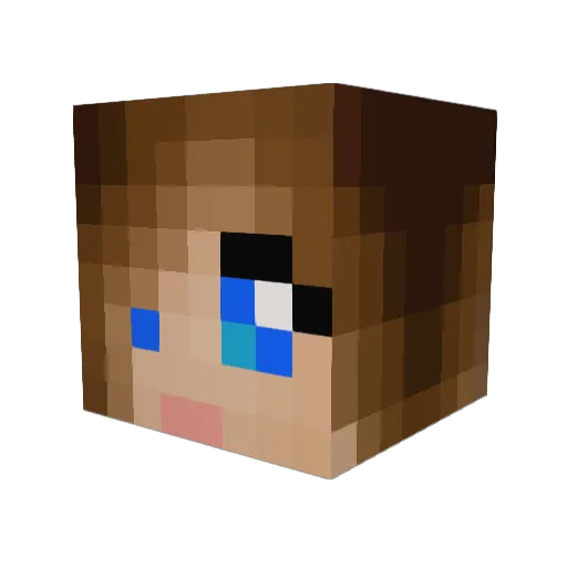 Boxed_By_Connor Minecraft avatar head, 3D render
