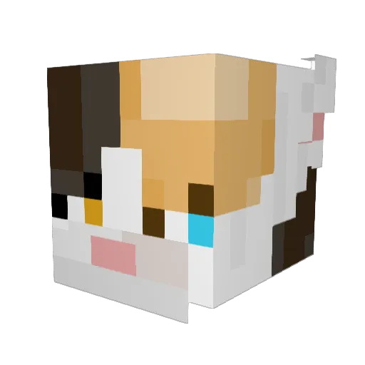 BoxelLogica Minecraft avatar head, 3D render