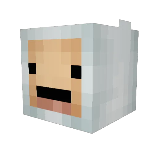 Boxer6105 Minecraft avatar head, 3D render