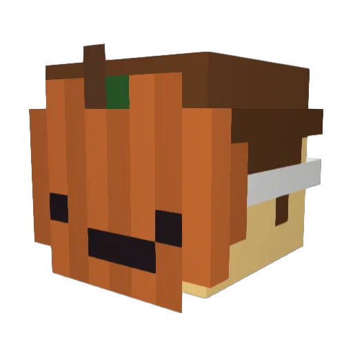 Boxer611 Minecraft avatar head, 3D render